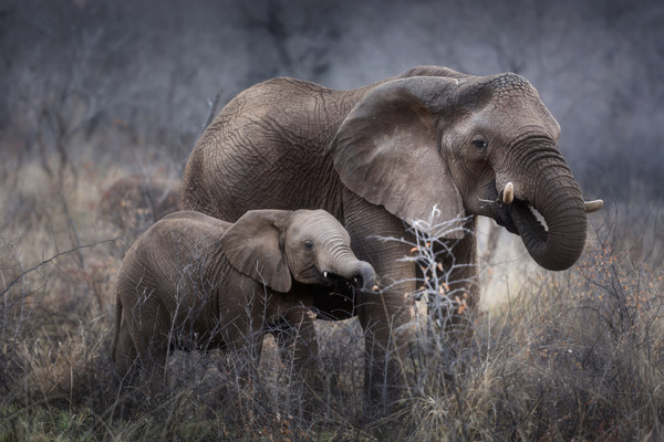 Photography courses Pretoria & Johannesburg