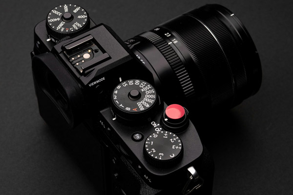 Beginner photography workshop