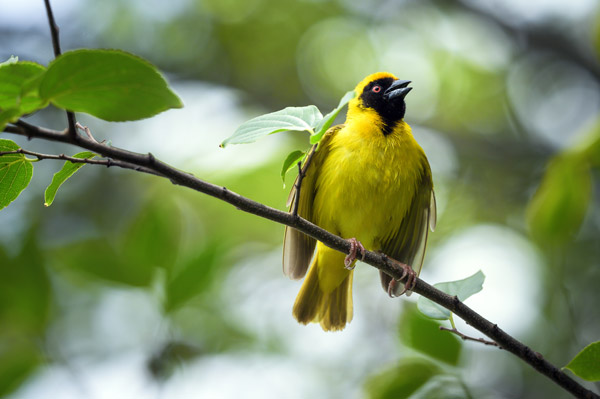 Bird photography workshop