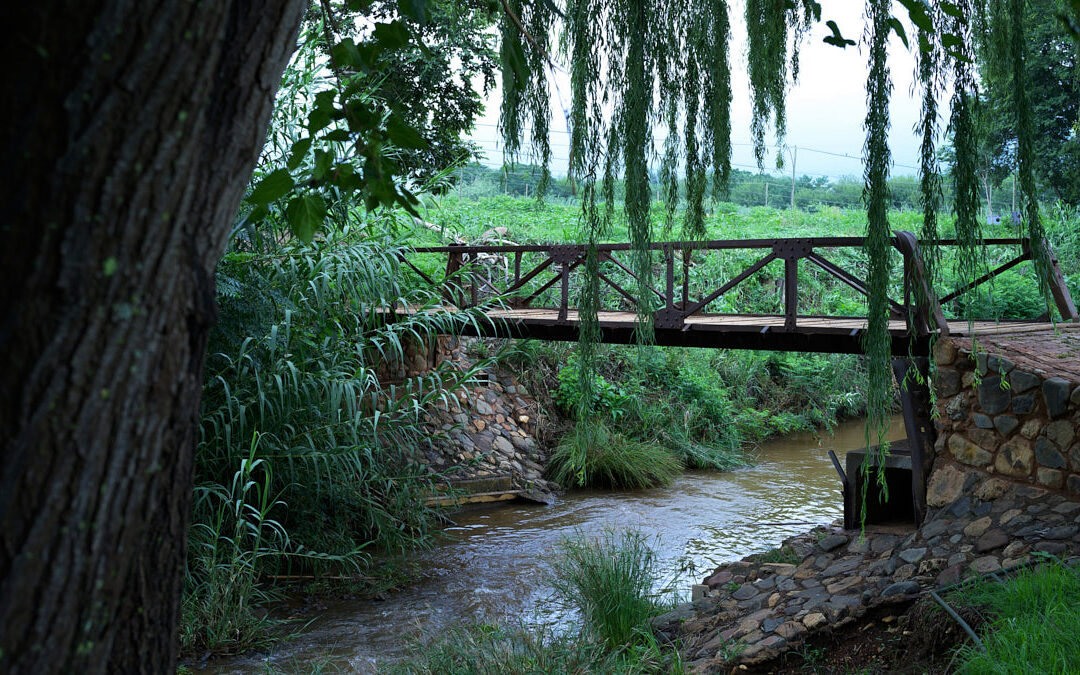 Van Gaalen Cheese Farm Hartbeespoort
