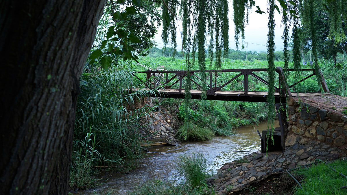 Van Gaalen Cheese Farm Hartbeespoort
